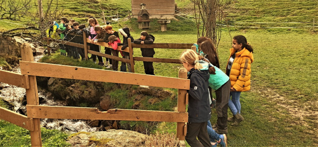 Foto von Kindern die an einem Zaun stehen und in einen Fluss schauen